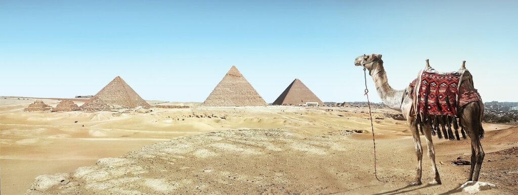 die drei pyramiden in ägypten und ein kamel